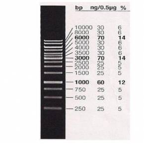 -Marcadordepesomolecular