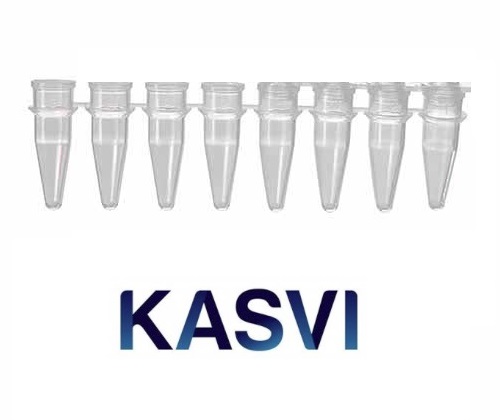 Microtubo PCR 200ul Em Tiras – Kasvi