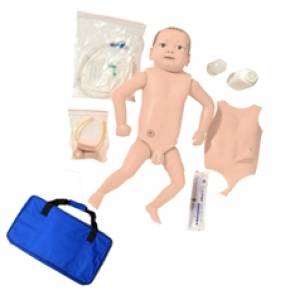 Manequim Bebê Bissexual Com Órgãos Internos Para Treino de Enfermagem