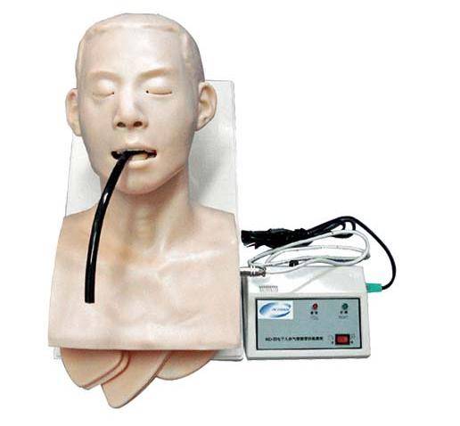 Modelo de Intubação Adulto Com Indicador