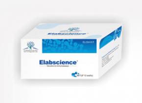 VIP Elisa Kit Human (Vasoactive Intestinal Peptide)