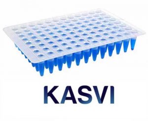 Microplaca Qpcr Sem Borda 96 Poços Regular Profile Kasvi