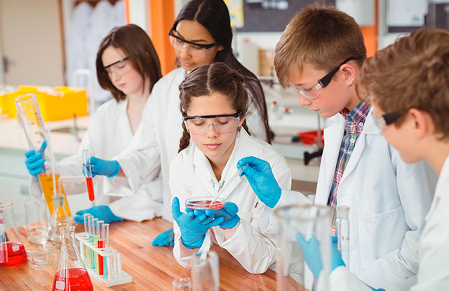 Conheça a lista de 9 objetos básicos obrigatórios em um laboratório escolar de química